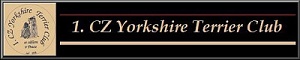I.CZ.Yorkshire terrier club
